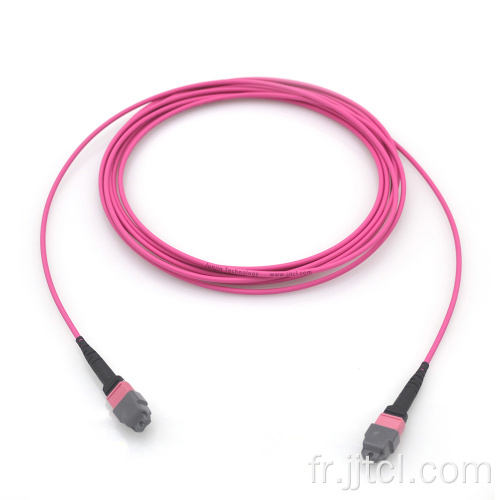 MPO Cable Cable 12F 24F OM4 Violet 3.0 mm